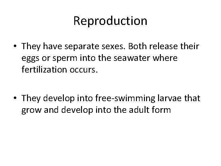 Reproduction • They have separate sexes. Both release their eggs or sperm into the