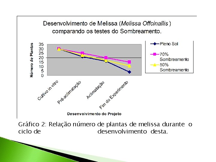 Gráfico 2: Relação número de plantas de melissa durante o ciclo de desenvolvimento desta.