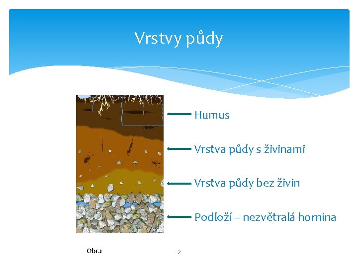 Vrstvy půdy Humus – tmavá vrchní vrstva Vrstva půdy s živinami Vrstva půdy bez