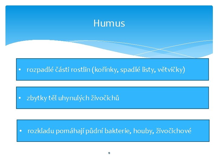 Humus • rozpadlé části rostlin (kořínky, spadlé listy, větvičky) • zbytky těl uhynulých živočichů