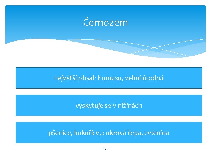 Černozem největší obsah humusu, velmi úrodná vyskytuje se v nížinách pšenice, kukuřice, cukrová řepa,
