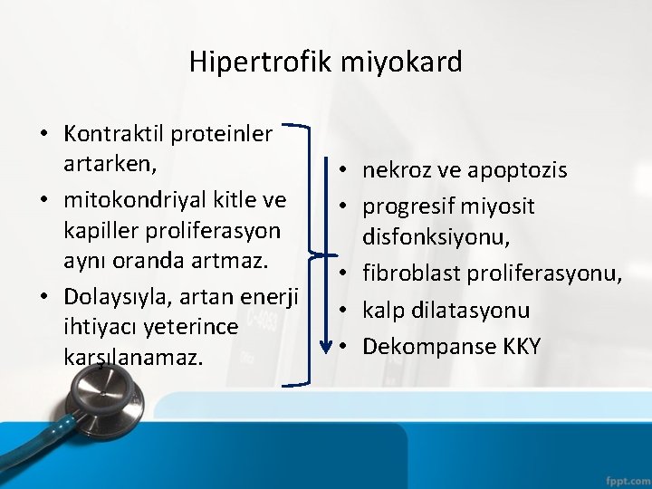 Hipertrofik miyokard • Kontraktil proteinler artarken, • mitokondriyal kitle ve kapiller proliferasyon aynı oranda