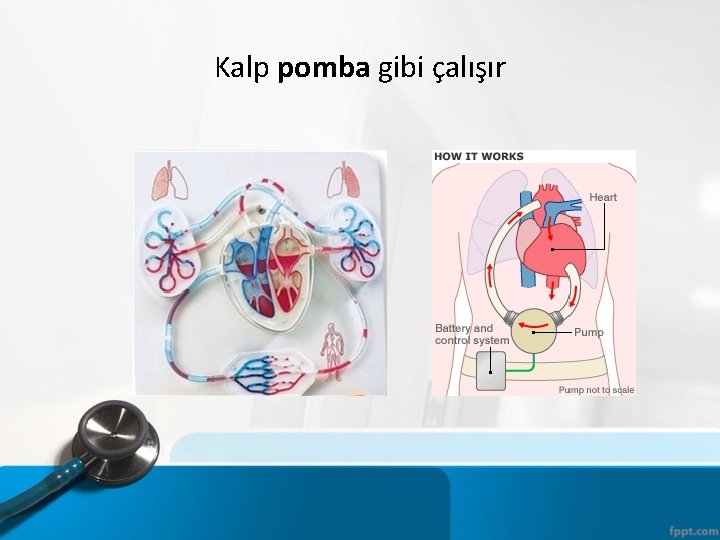 Kalp pomba gibi çalışır 