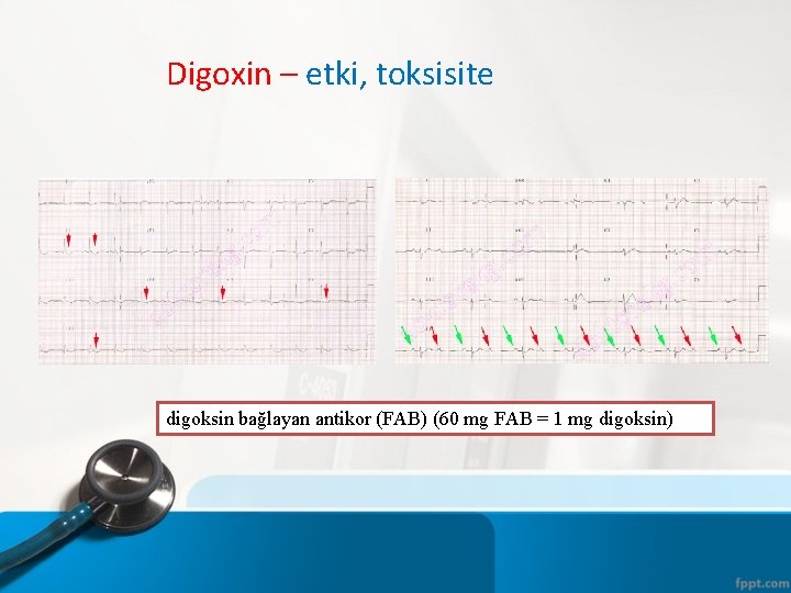 Digoxin – etki, toksisite digoksin bağlayan antikor (FAB) (60 mg FAB = 1 mg