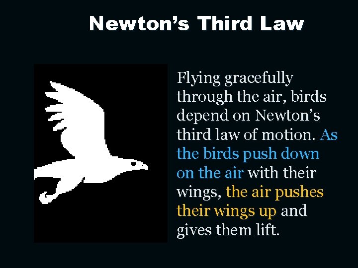Newton’s Third Law Flying gracefully through the air, birds depend on Newton’s third law