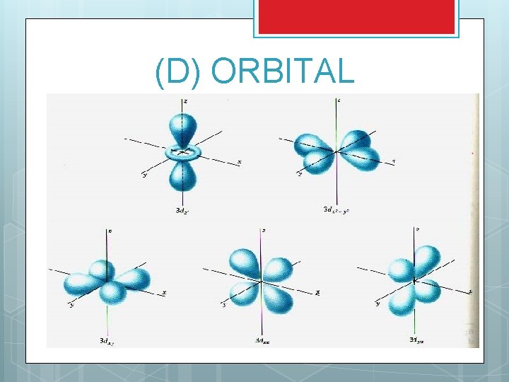(D) ORBITAL 