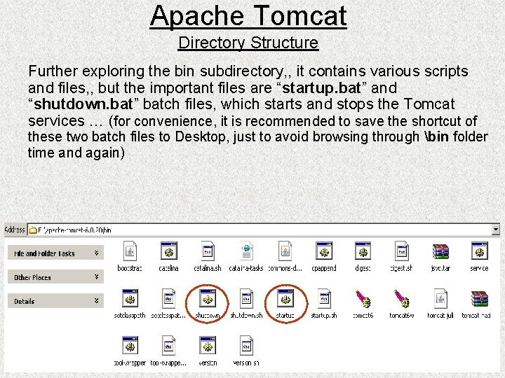 Apache Tomcat Directory Structure Further exploring the bin subdirectory, , it contains various scripts
