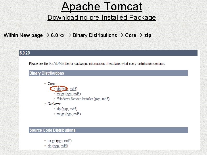 Apache Tomcat Downloading pre-Installed Package Within New page 6. 0. xx Binary Distributions Core