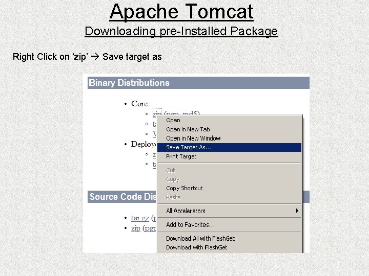 Apache Tomcat Downloading pre-Installed Package Right Click on ‘zip’ Save target as 