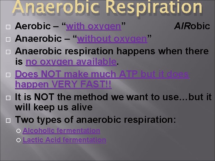 Anaerobic Respiration Aerobic – “with oxygen” AIRobic Anaerobic – “without oxygen” Anaerobic respiration happens