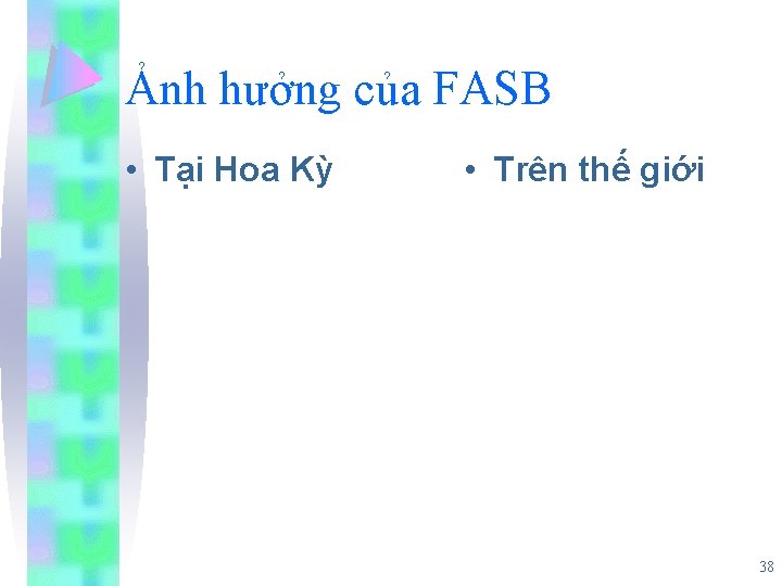 Ảnh hưởng của FASB • Tại Hoa Kỳ • Trên thế giới 38 