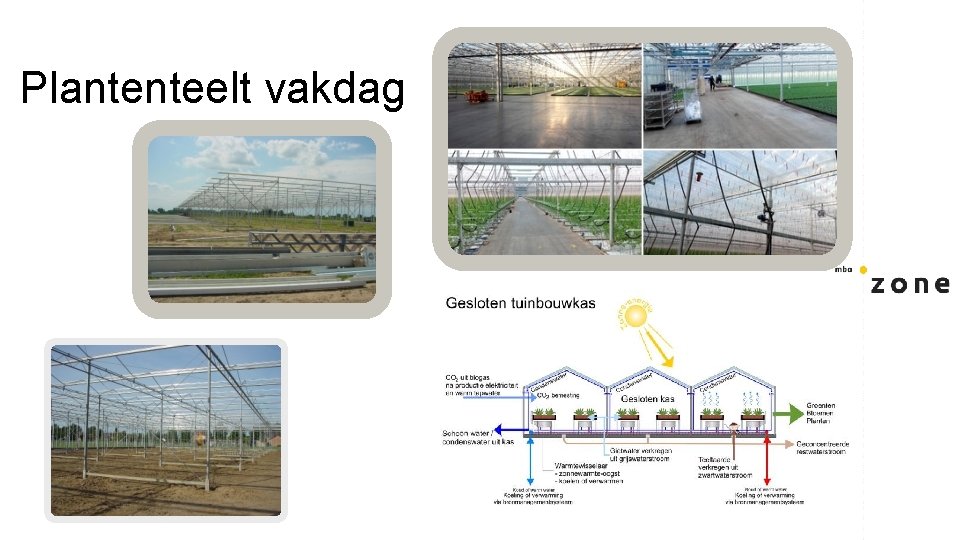 Plantenteelt vakdag 