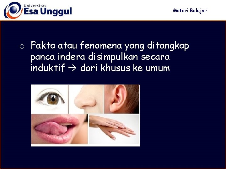 Materi Belajar o Fakta atau fenomena yang ditangkap panca indera disimpulkan secara induktif dari