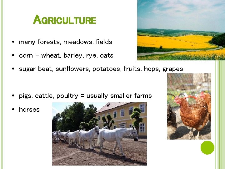 AGRICULTURE • many forests, meadows, fields • corn – wheat, barley, rye, oats •