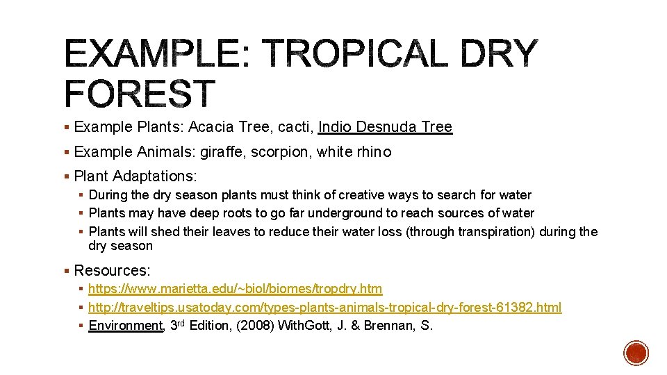 § Example Plants: Acacia Tree, cacti, Indio Desnuda Tree § Example Animals: giraffe, scorpion,
