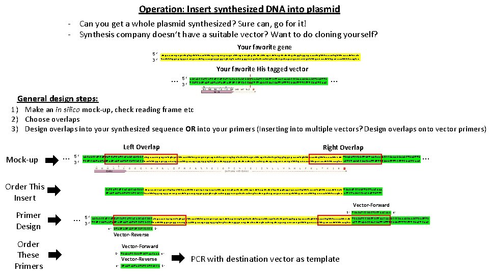 Operation: Insert synthesized DNA into plasmid - Can you get a whole plasmid synthesized?