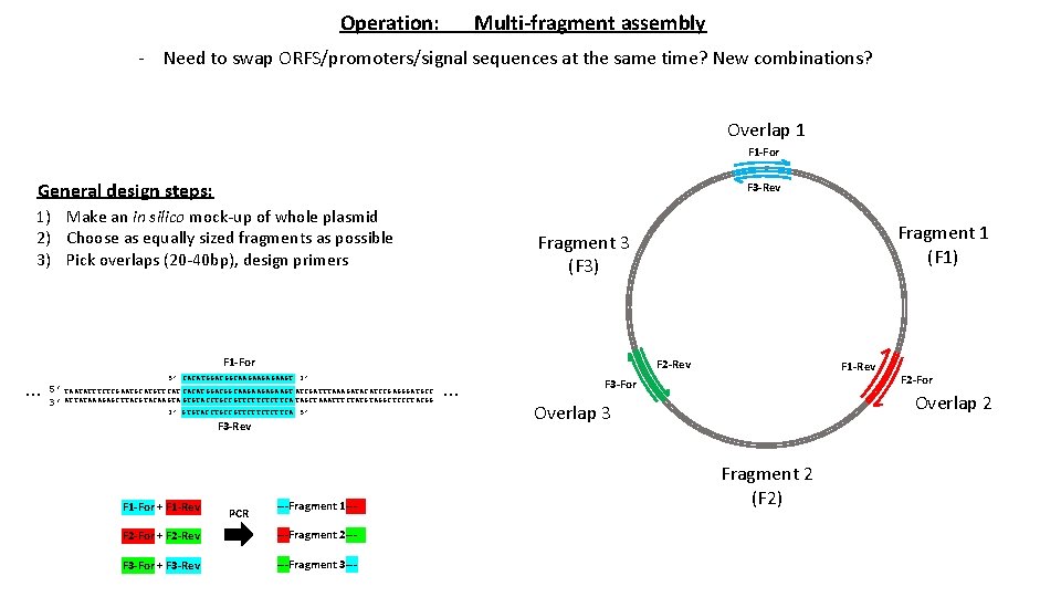 Operation: Multi-fragment assembly - Need to swap ORFS/promoters/signal sequences at the same time? New