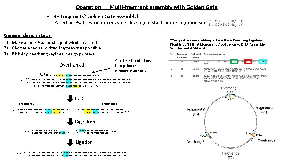 Operation: Multi-fragment assembly with Golden Gate - 4+ Fragments? Golden Gate assembly! - Based