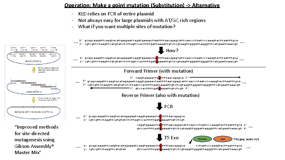 Operation: Make a point mutation (Substitution) -> Alternative - KLD relies on PCR of