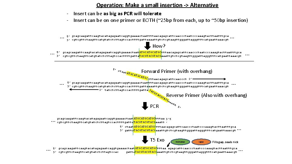 Operation: Make a small insertion -> Alternative - Insert can be as big as