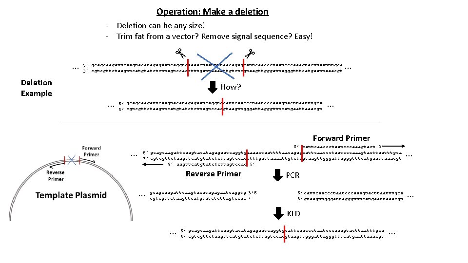 Operation: Make a deletion - Deletion can be any size! - Trim fat from