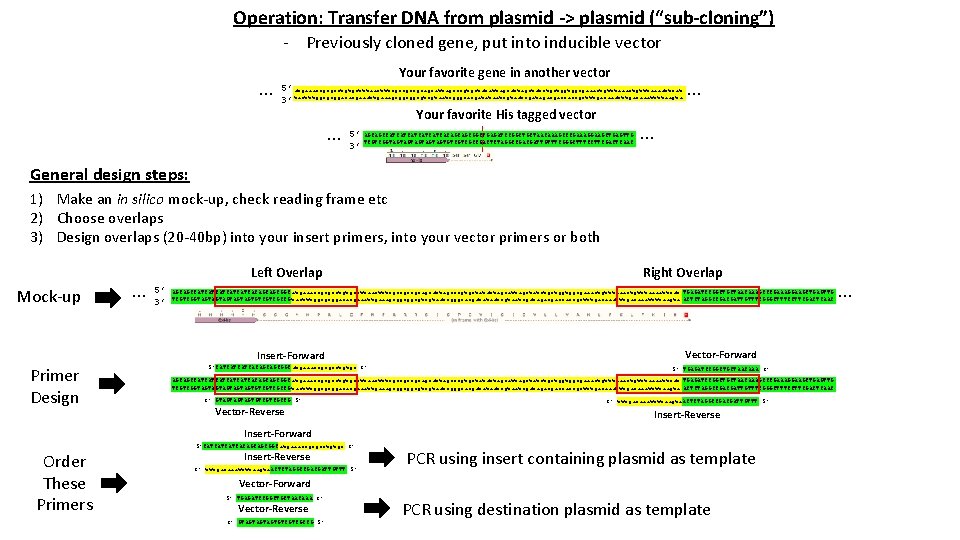 Operation: Transfer DNA from plasmid -> plasmid (“sub-cloning”) - Previously cloned gene, put into