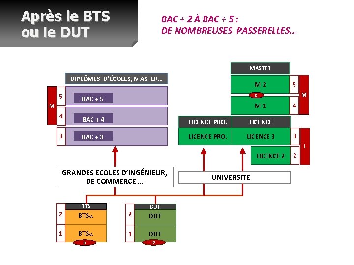 Après le BTS ou le DUT BAC + 2 À BAC + 5 :