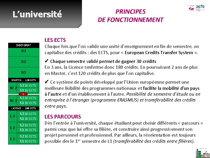 L’université DOCTORAT D 3 D 2 D 1 MASTER - 120 ECTS S 2