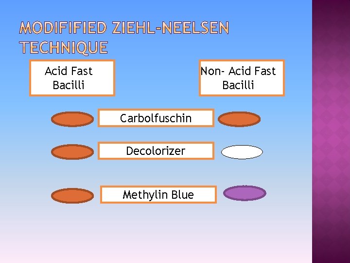 Acid Fast Bacilli Non- Acid Fast Bacilli Carbolfuschin Decolorizer Methylin Blue 