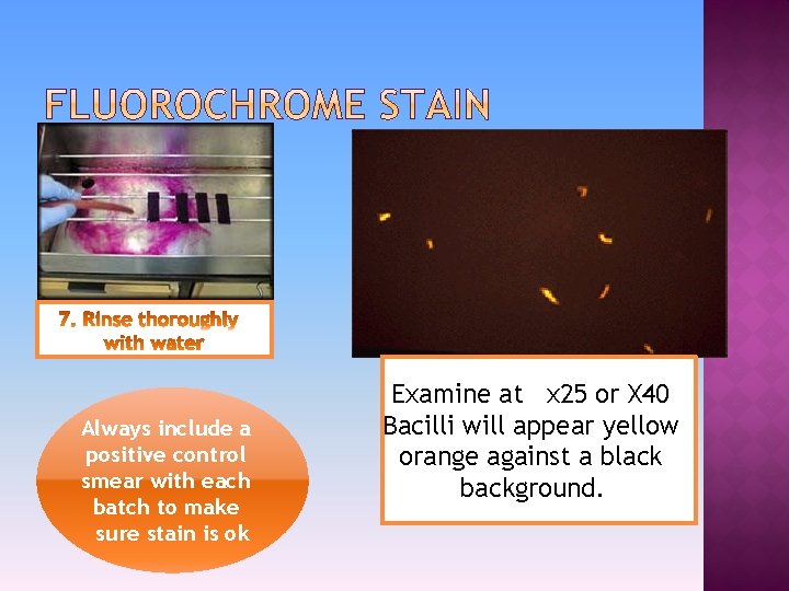 Always include a positive control smear with each batch to make sure stain is