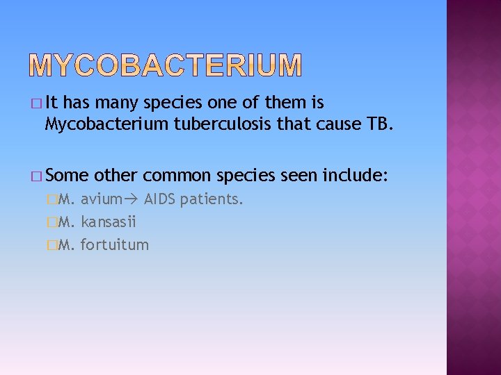 � It has many species one of them is Mycobacterium tuberculosis that cause TB.