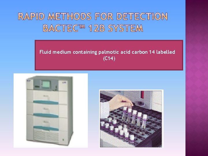 Fluid medium containing palmotic acid carbon 14 labelled (C 14) 