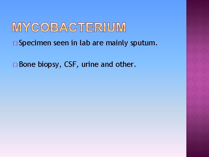 � Specimen � Bone seen in lab are mainly sputum. biopsy, CSF, urine and