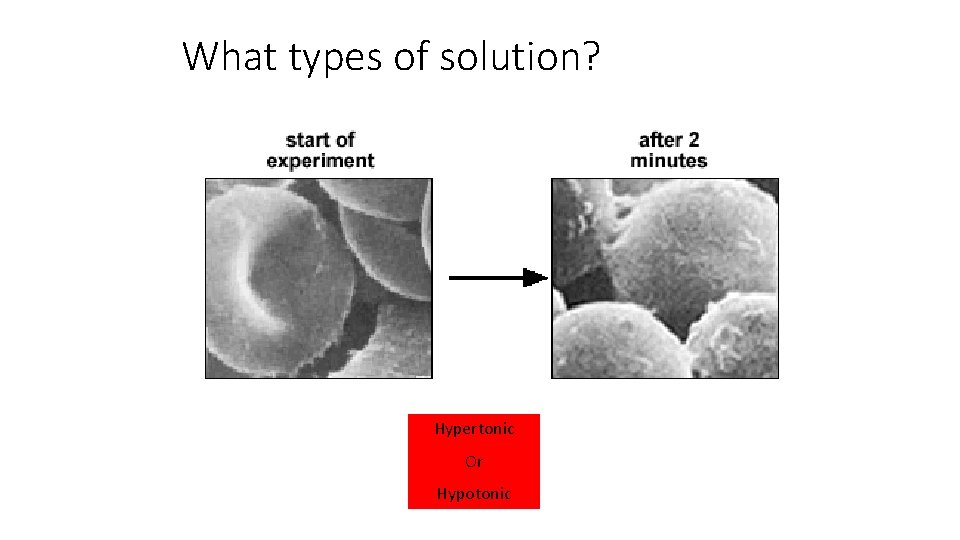 What types of solution? Hypertonic Or Hypotonic 