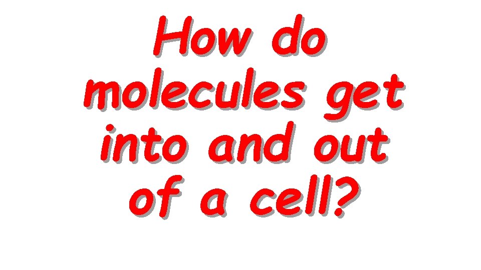 How do molecules get into and out of a cell? 