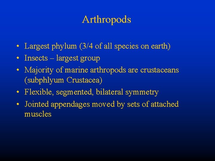Arthropods • • • Largest phylum (3/4 of all species on earth) Insects –