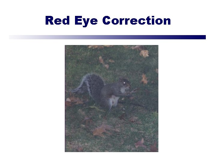 Red Eye Correction 