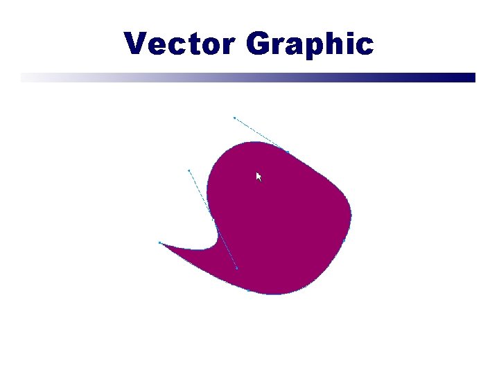 Vector Graphic 