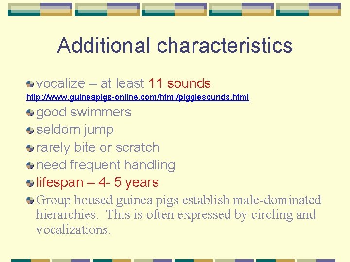 Additional characteristics vocalize – at least 11 sounds http: //www. guineapigs-online. com/html/piggiesounds. html good