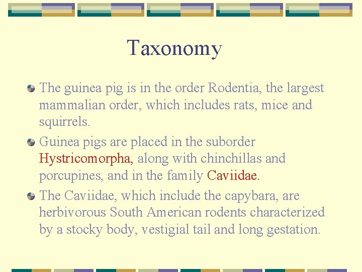 Taxonomy The guinea pig is in the order Rodentia, the largest mammalian order, which