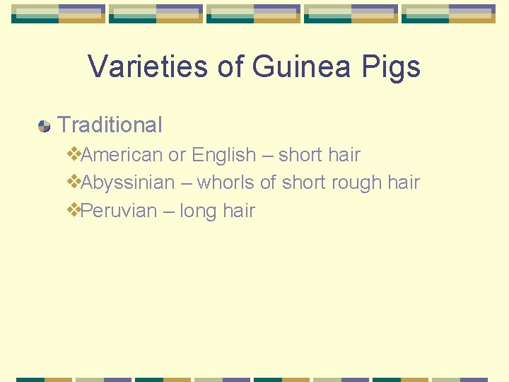 Varieties of Guinea Pigs Traditional ❖American or English – short hair ❖Abyssinian – whorls
