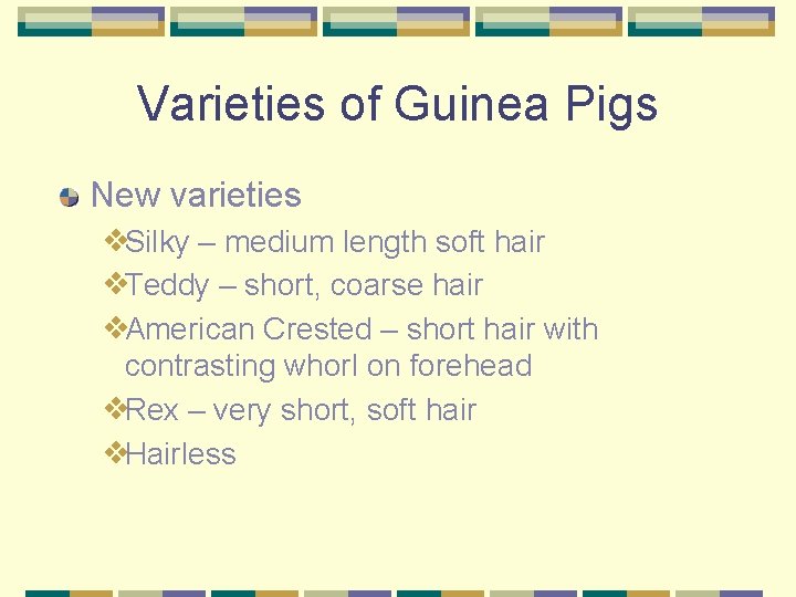 Varieties of Guinea Pigs New varieties ❖Silky – medium length soft hair ❖Teddy –