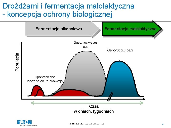 Drożdżami i fermentacja malolaktyczna - koncepcja ochrony biologicznej Fermentacja alkoholowa Fermentacja malolaktyczna Saccharomyces spp.