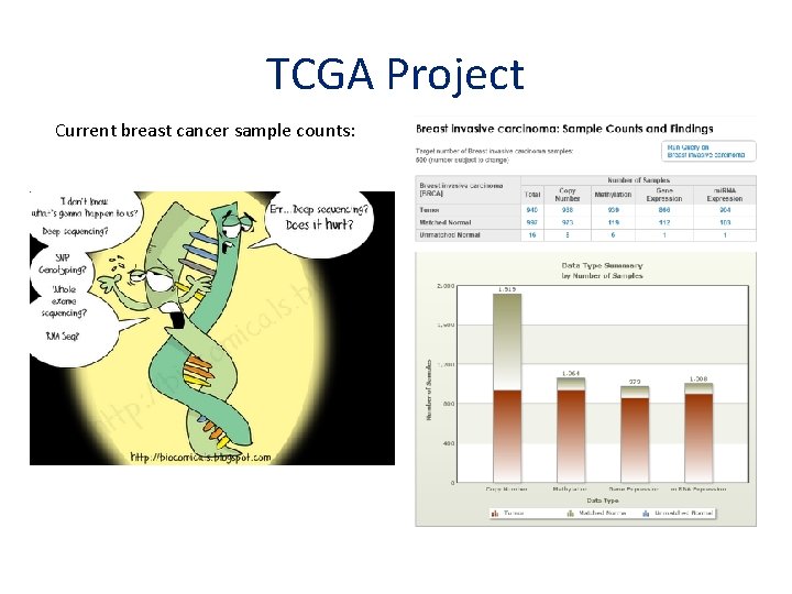 TCGA Project Current breast cancer sample counts: 