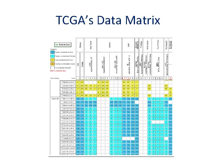 TCGA’s Data Matrix 