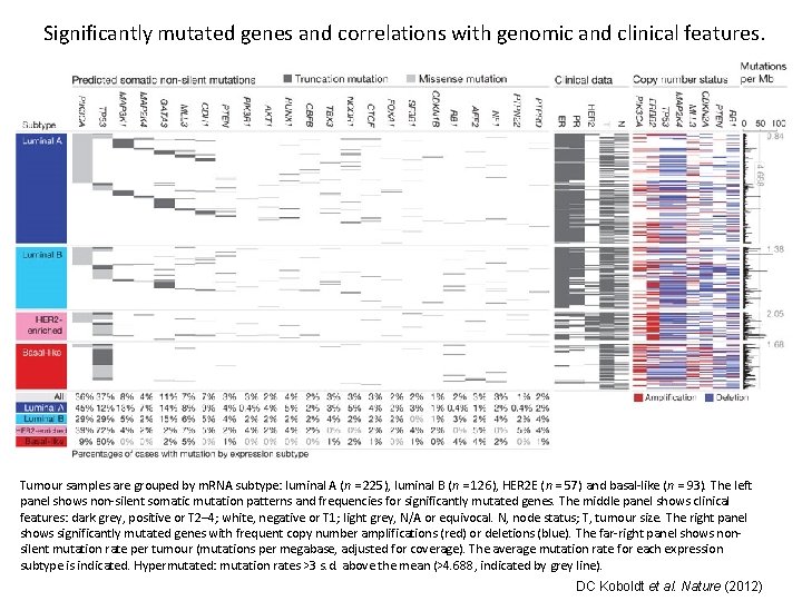 Significantly mutated genes and correlations with genomic and clinical features. Tumour samples are grouped