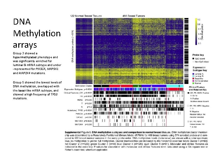 DNA Methylation arrays Group 3 showed a hypermethylated phenotype and was significantly enriched for