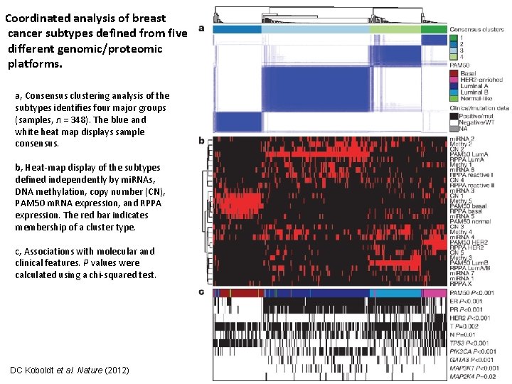 Coordinated analysis of breast cancer subtypes defined from five different genomic/proteomic platforms. a, Consensus