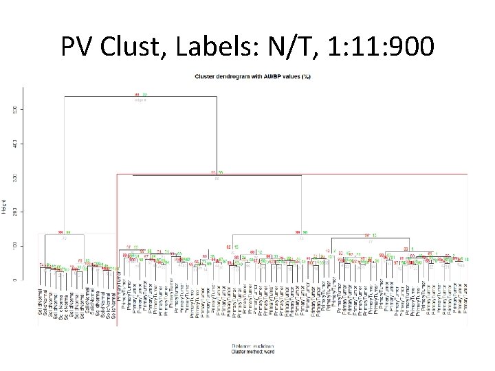 PV Clust, Labels: N/T, 1: 11: 900 