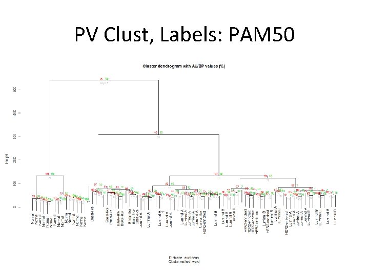 PV Clust, Labels: PAM 50 